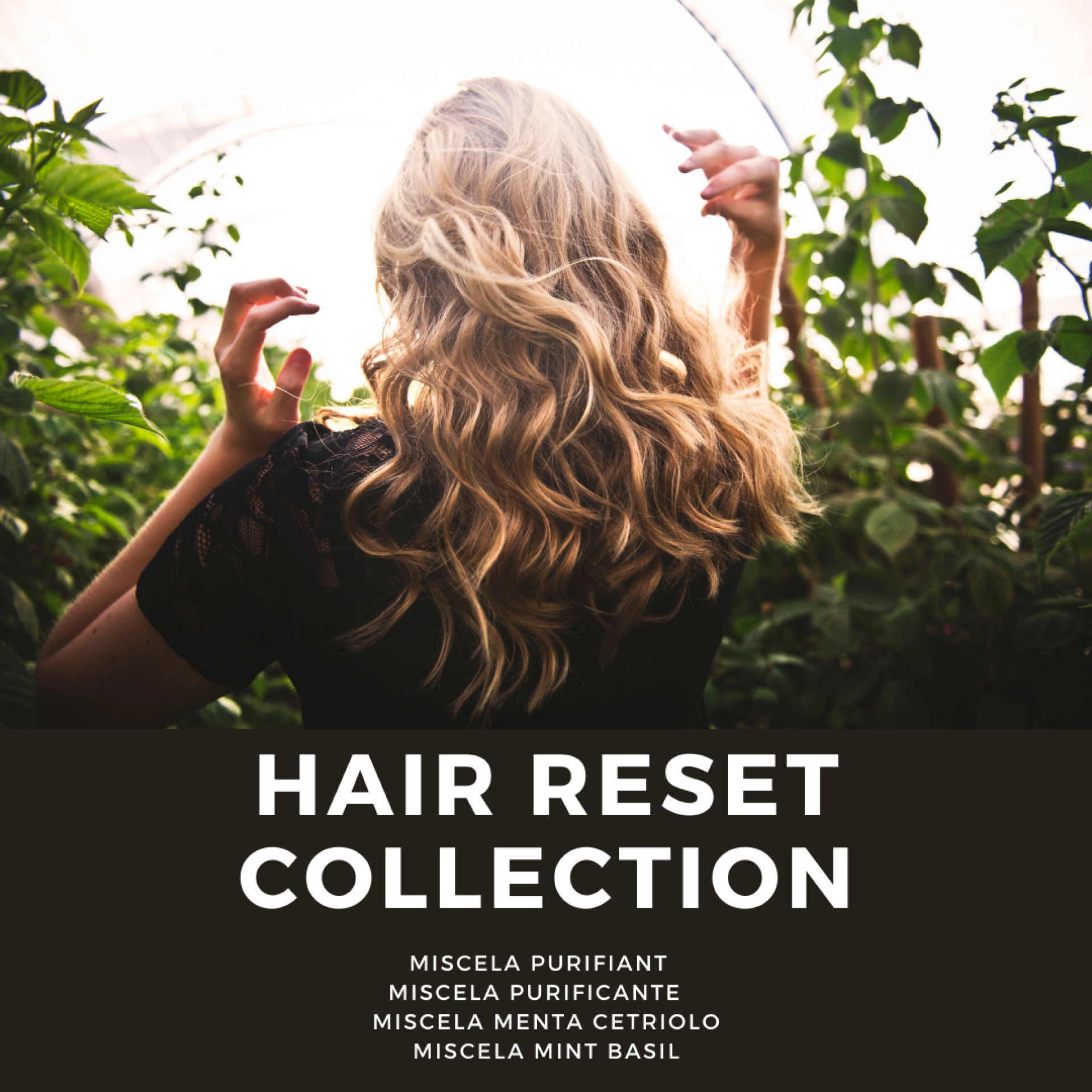 HAIR RESET COLLECTION