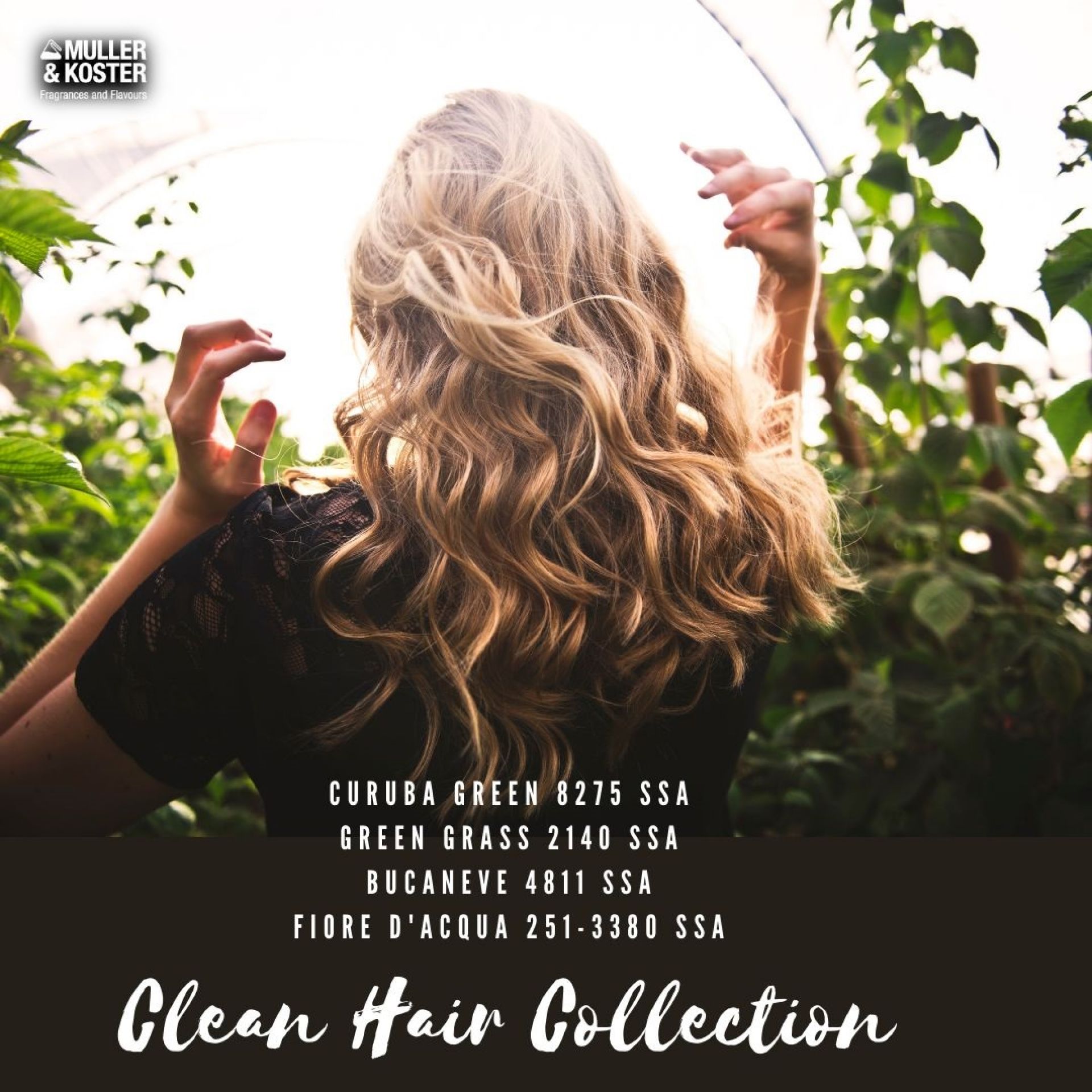 Clean Hair Collection